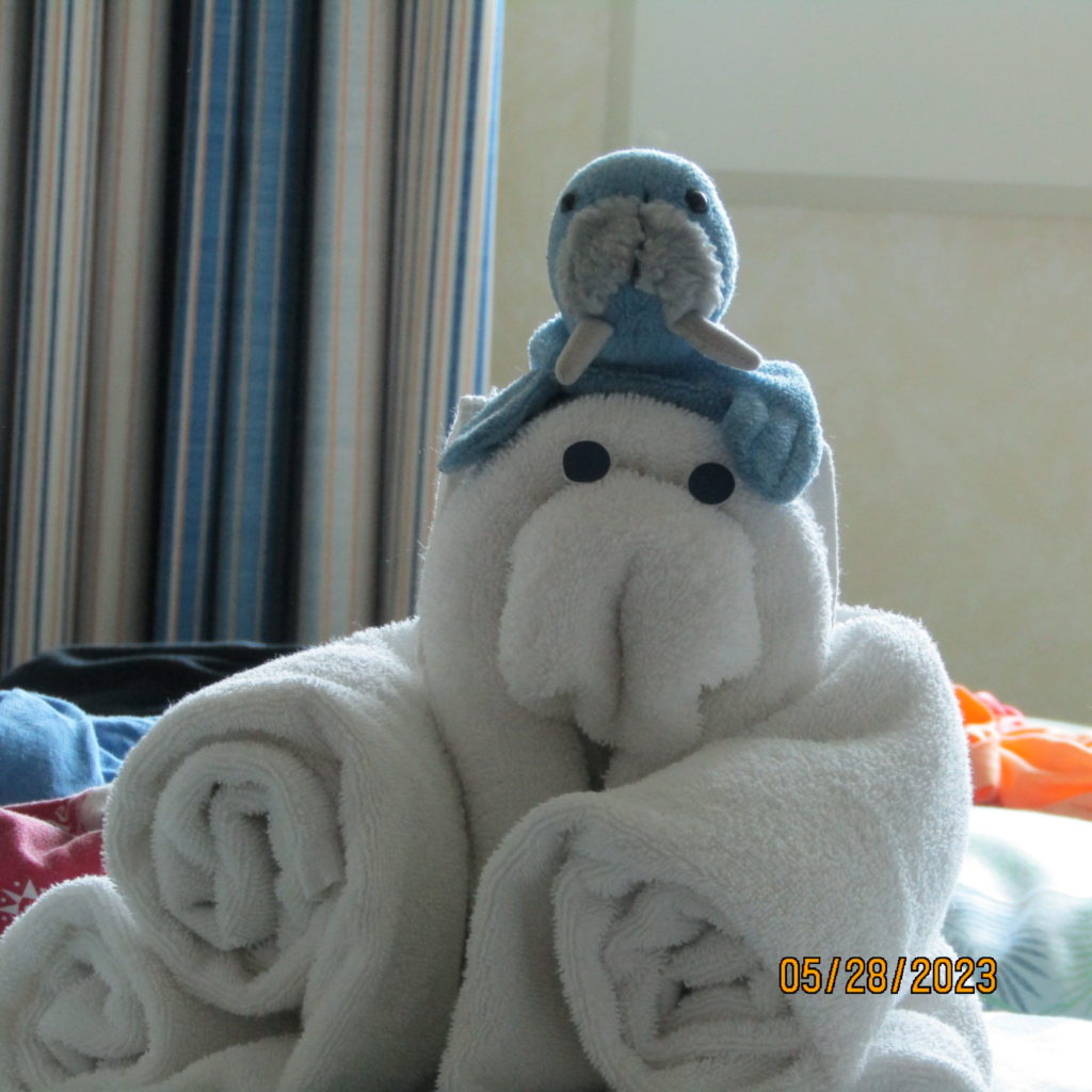 Bob the Walrus on a cruise ship to Mexico!